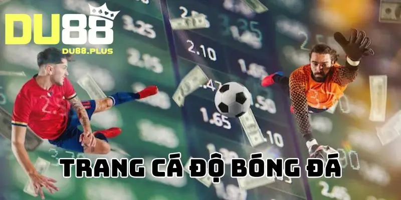 trang cá độ bóng đá uy tín nhất việt nam