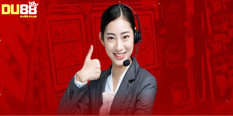 liên hệ du88